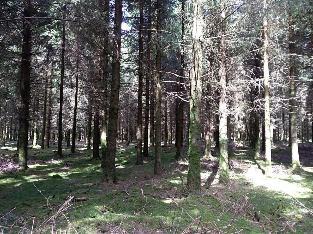Oh Deer! Apartment Vaux-sur-Sure ภายนอก รูปภาพ
